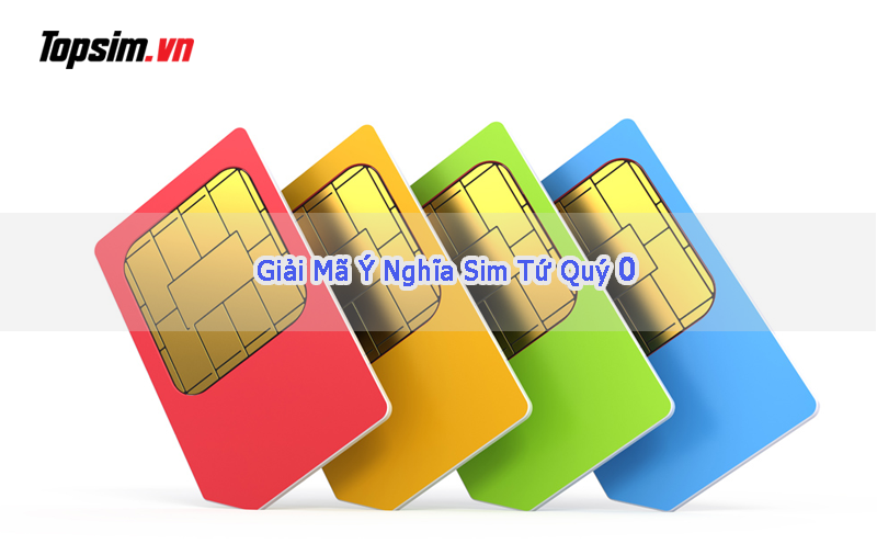 Ý nghĩa của dòng sim tứ quý 0