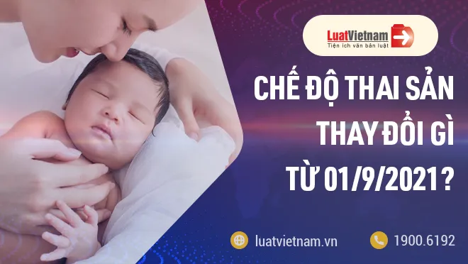 thay doi ve che do thai san