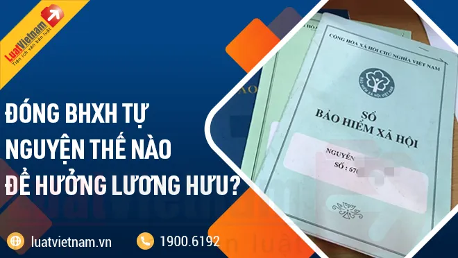 đóng bảo hiểm xã hội tự nguyện dong bao hiem xa hoi tu nguyen