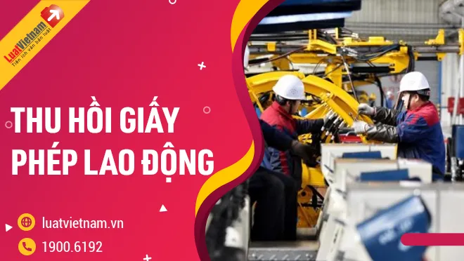 thu hoi giay phep lao dong