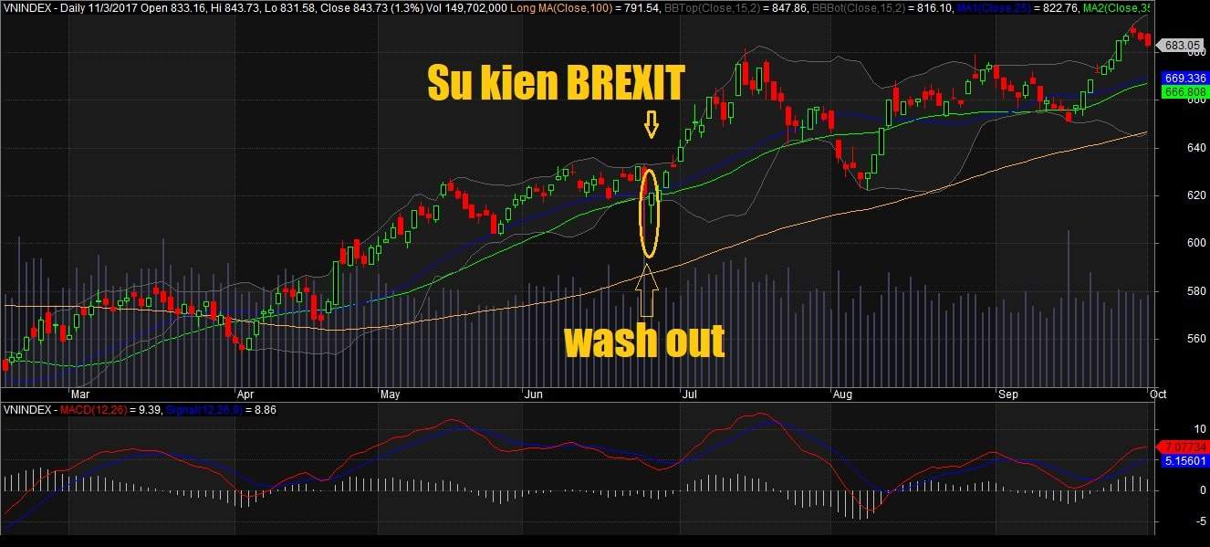Brexit wash out