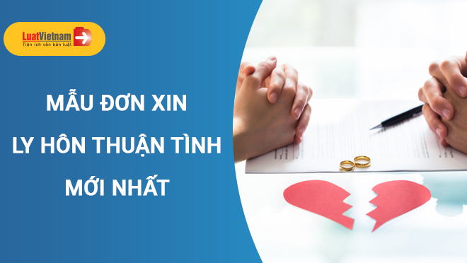 đơn ly hôn thuận tình