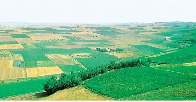 chuyen dat trong hoa mau sang dat tho cu