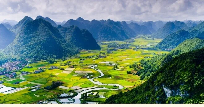 chuyen dat trong lua sang dat trong cay hang nam