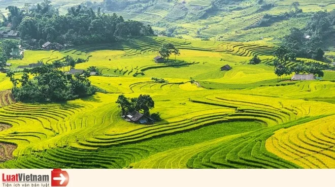 chuyen doi dat nong nghiep