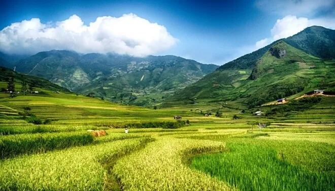 dat khai hoang la gi