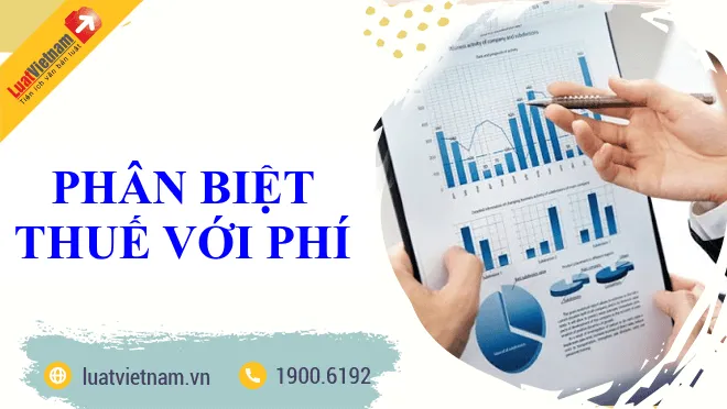phan biet thue voi phi