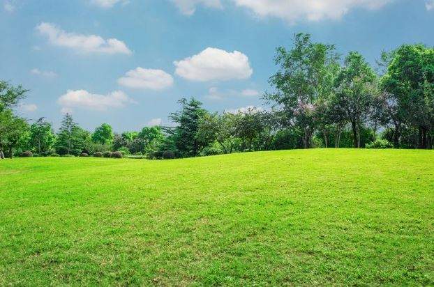 Đất kinh doanh dịch vụ là gì?