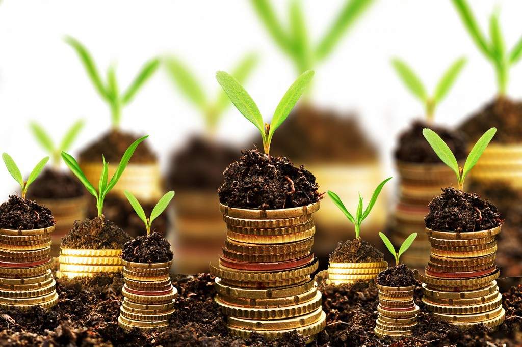Vốn đầu tư được hiểu như thế nào?