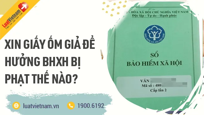 xin giay om gia