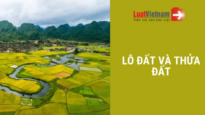 lô đất và thửa đất lo dat va thua dat