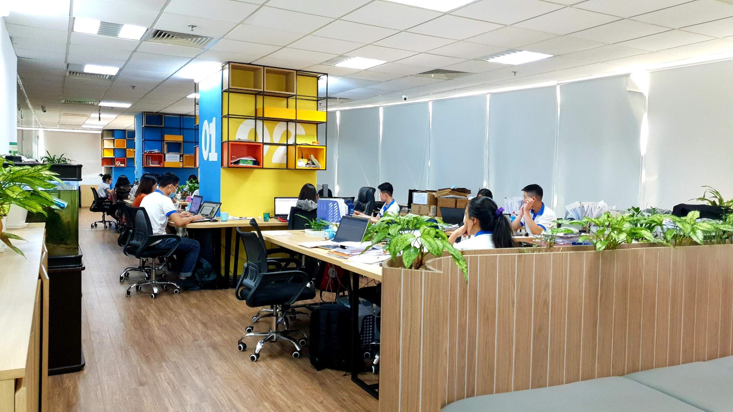 SAMO nhận vốn đầu tư