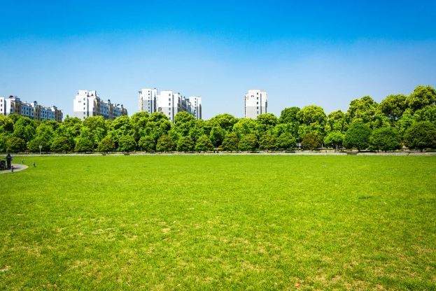 Đất ở và đất vườn liền kề