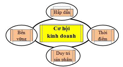 Đặc điểm của cơ hội kinh doanh